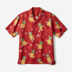 Men's Red Silk Blend Tropical Hawaiian Pineapple Short Sleeve Shirt