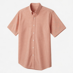 Men's Salmon Gingham Short Sleeve Button-Up Shirt Classic Fit