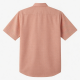 Men's Salmon Gingham Short Sleeve Button-Up Shirt Classic Fit