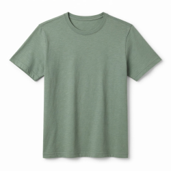 Men's Graphic T-Shirt Eco-Friendly Limited Edition Short Sleeve (5169)